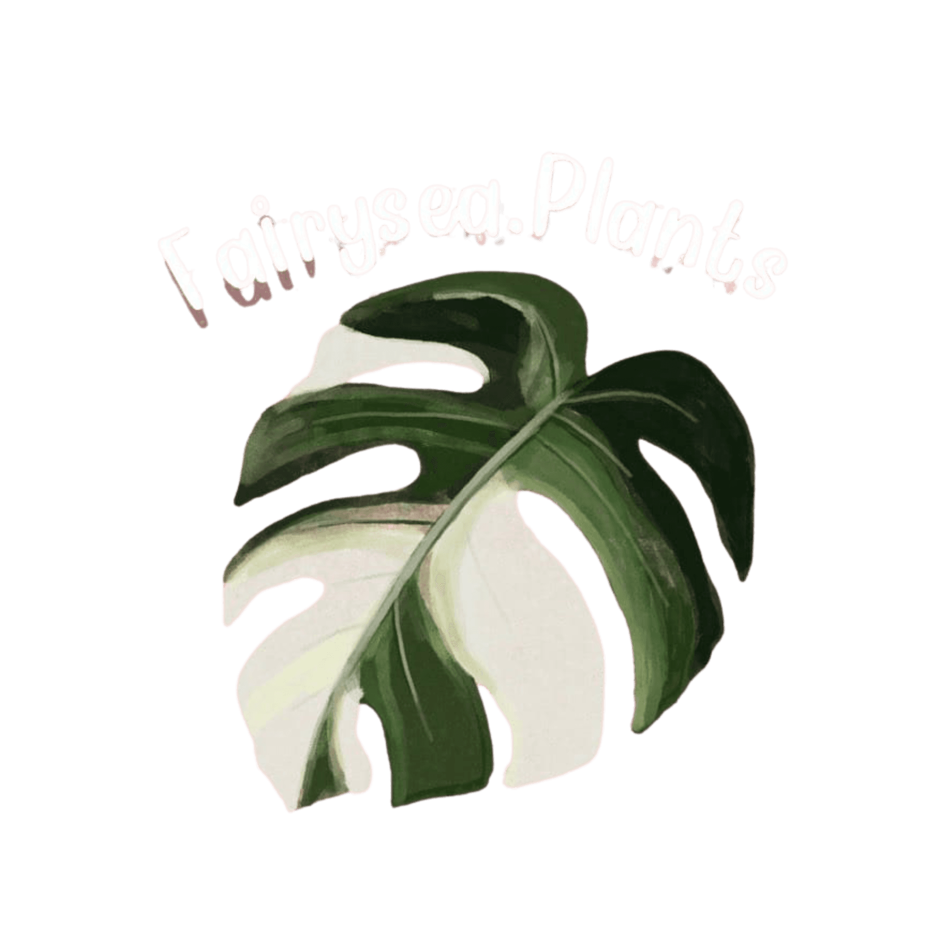 กำลังโหลด FairySeaPlants